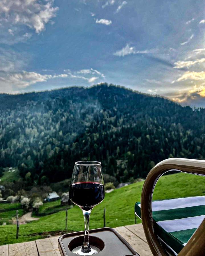 Mitarbi Silence - Cozy Holiday Cottages In Mountains Borjomi Exterior foto