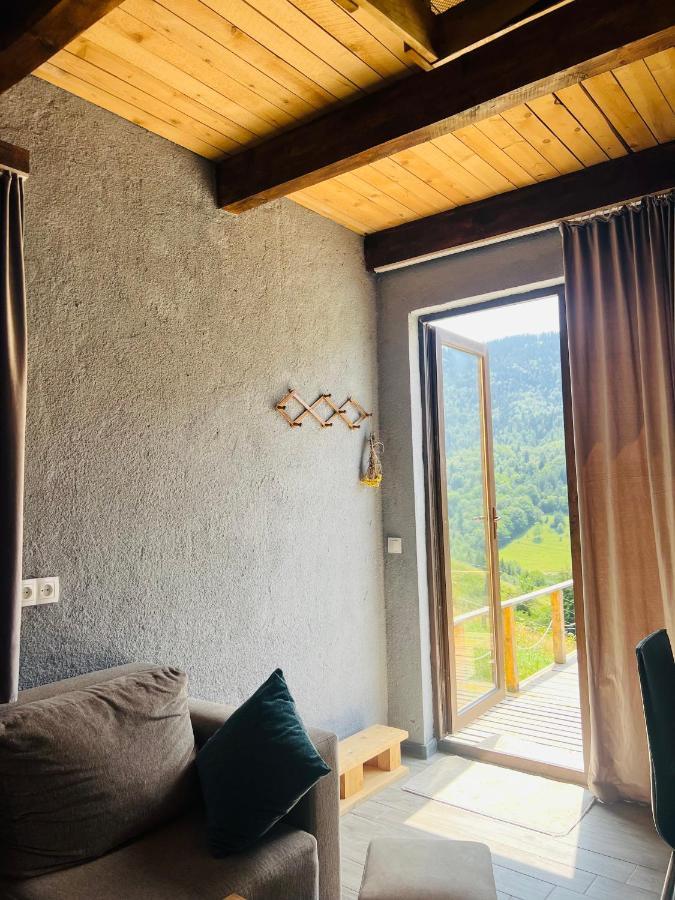 Mitarbi Silence - Cozy Holiday Cottages In Mountains Borjomi Exterior foto