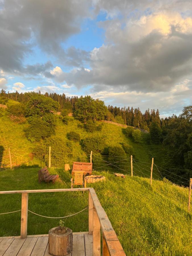 Mitarbi Silence - Cozy Holiday Cottages In Mountains Borjomi Exterior foto